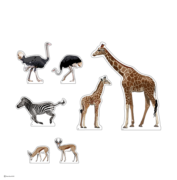 cat pages wild life 1 2020-01