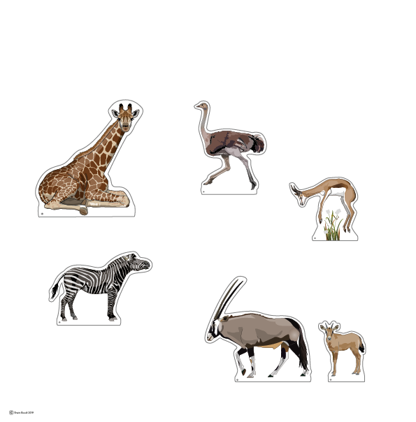cat pages wild life 1 2020-02