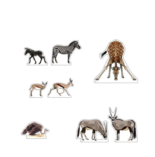 cat pages wild life 1 2020-03